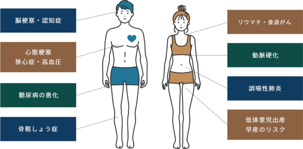 レミントン歯科歯周病と全身疾患の関係